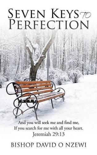 Cover image for Seven Keys to Perfection