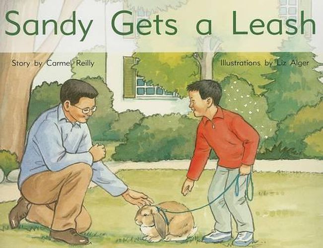 Cover image for Sandy Gets a Leash: Individual Student Edition Yellow (Levels 6-8)