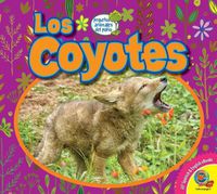 Cover image for Los Coyotes