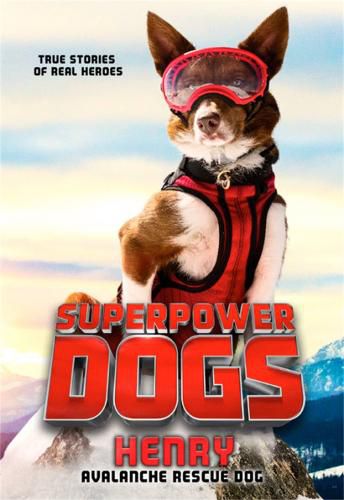 Cover image for Superpower Dogs: Henry: Avalanche Rescue Dog