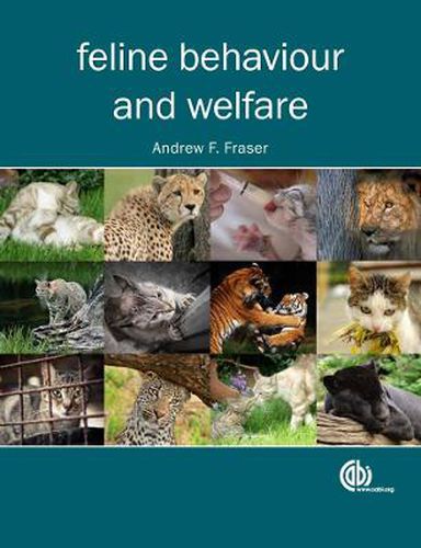 Feline Behaviour and Welfare