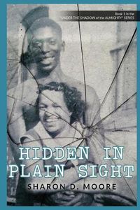 Cover image for Hidden in Plain Sight