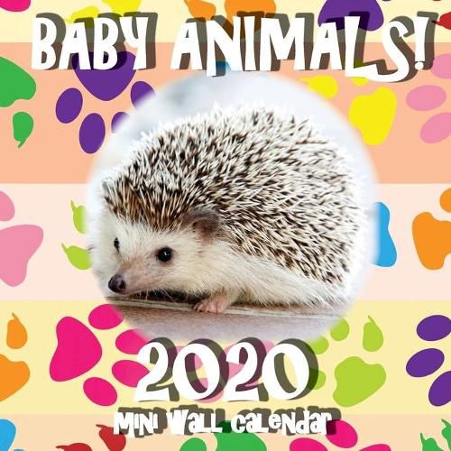 Cover image for Baby Animals! 2020 Mini Wall Calendar