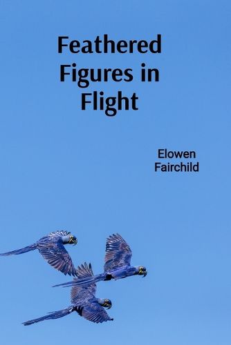 Cover image for Feathered Figures in Flight