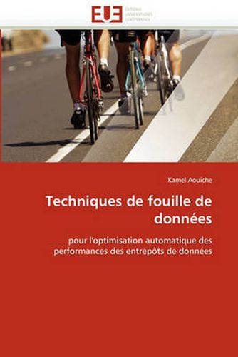 Cover image for Techniques De Fouille De Donnees