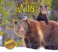 Cover image for Born Wild 2: In Yellowstone and Grand Teton National Parks