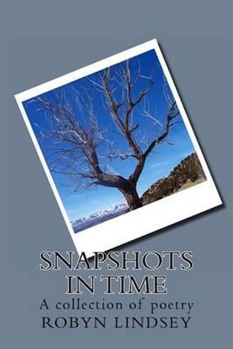 Cover image for Snapshots In Time