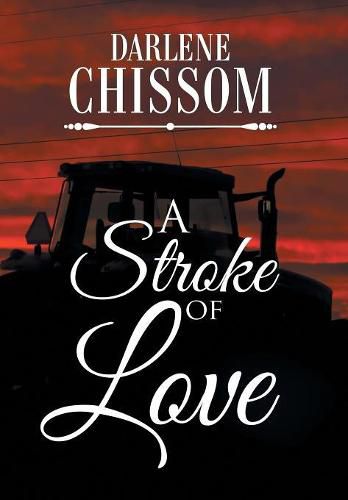 Cover image for A Stroke of Love