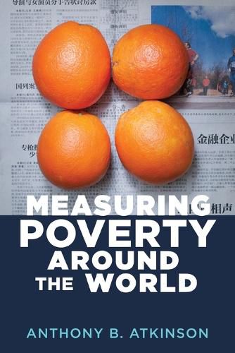 Cover image for Measuring Poverty around the World