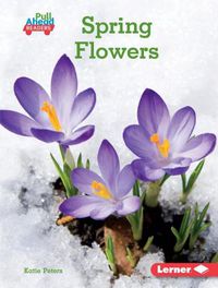 Cover image for Spring Flowers