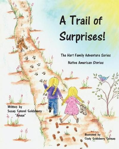 Cover image for A Trail of Surprises!