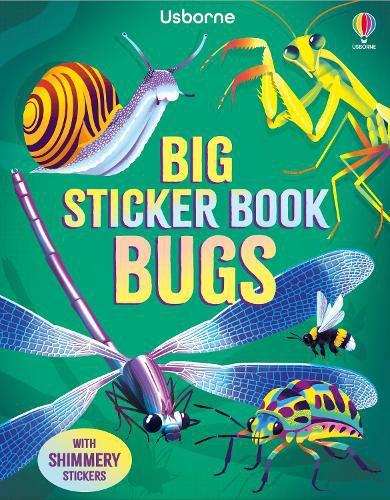 Cover image for Big Sticker Book Bugs