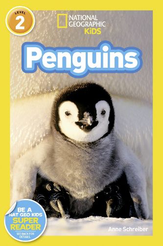 Cover image for Penguins