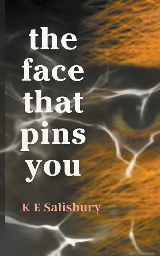 Cover image for The Face That Pins You