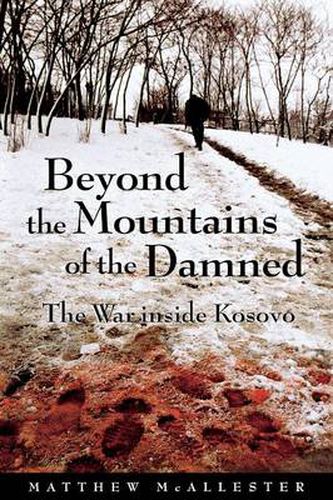 Cover image for Beyond the Mountains of the Damned: The War inside Kosovo