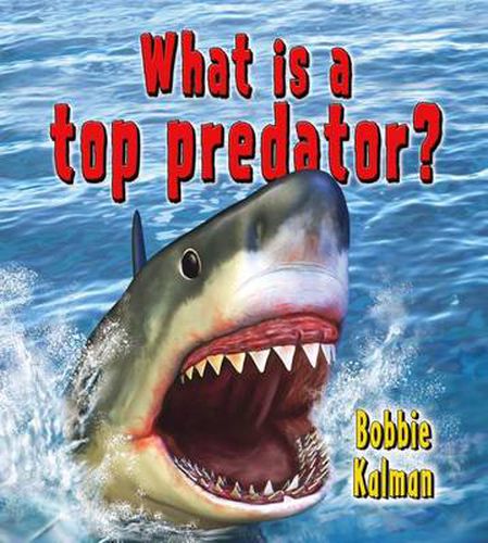 Cover image for What is a top predator?