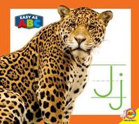 Cover image for Jj