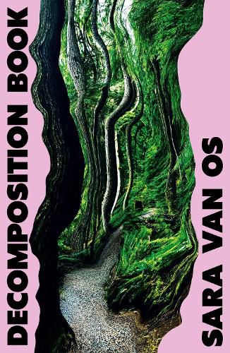 Cover image for Decomposition Book