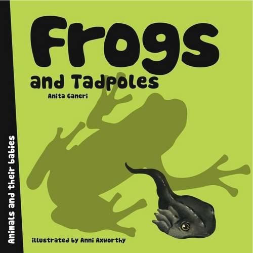Cover image for Frogs and Tadpoles