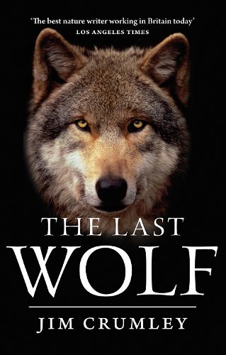 Cover image for The Last Wolf