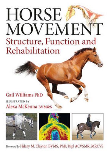 Cover image for Horse Movement: Structure, Function and Rehabilitation