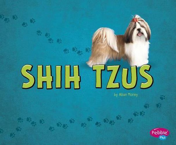 Shih Tzus