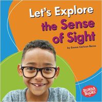 Cover image for Let's Explore the Sense of Sight