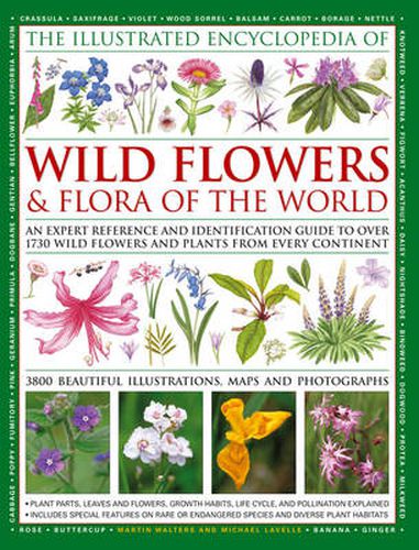 Cover image for Illustrated Encyclopedia of Wild Flowers & Flora of the World