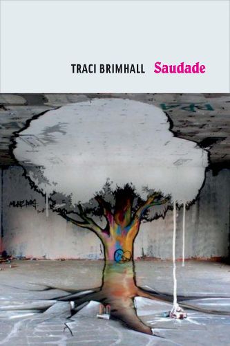 Cover image for Saudade