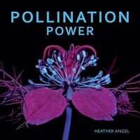 Cover image for Pollination Power