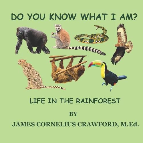 Cover image for Do You Know What I Am?: Life in the Rainforest