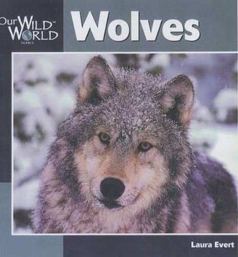 Cover image for Wolves