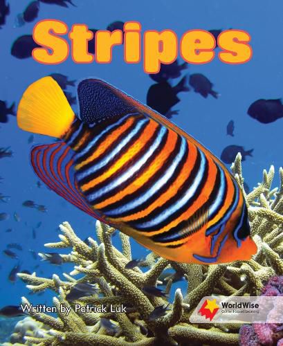 Cover image for Stripes