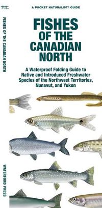 Cover image for Fishes of the Canadian North: Northwest Territories, Nunavut and Yukon