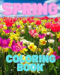 Cover image for Spring Coloring Book