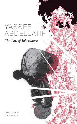 Cover image for The Law of Inheritance