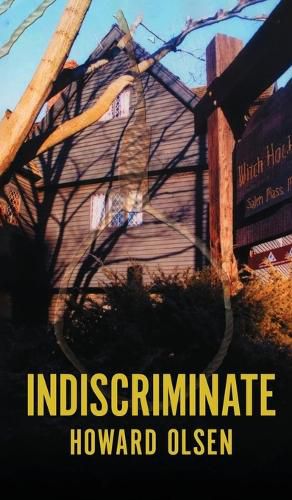 Cover image for Indiscriminate