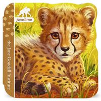 Cover image for Jane & Me Cheetahs