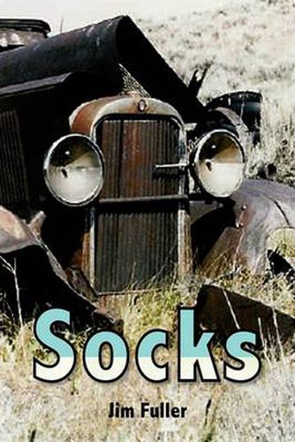 Cover image for Socks