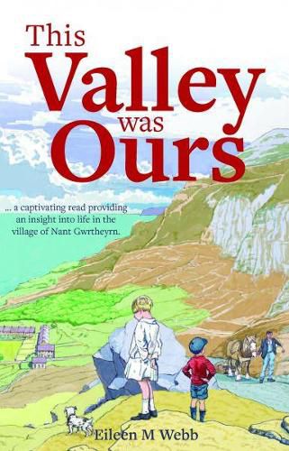 Cover image for This Valley was Ours