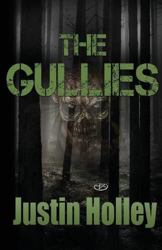Cover image for The Gullies