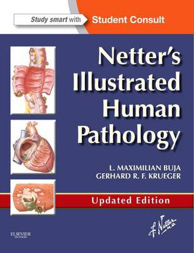 Cover image for Netter's Illustrated Human Pathology Updated Edition: with Student Consult Access