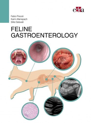 Cover image for FELINE GASTROENTEROLOGY