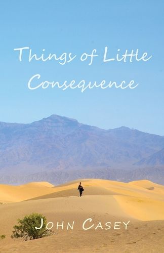 Cover image for Things of Little Consequence