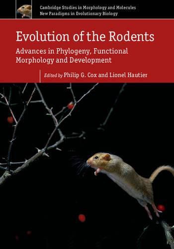 Evolution of the Rodents: Volume 5: Advances in Phylogeny, Functional Morphology and Development