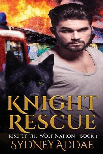 Cover image for Knight Rescue