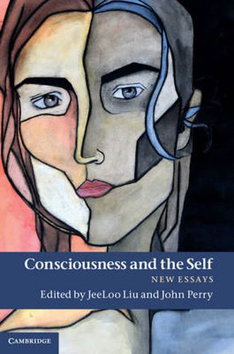 Cover image for Consciousness and the Self: New Essays