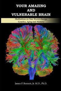 Cover image for Your Amazing and Vulnerable Brain: Meditations on Your Brain's Energy, Genetics, Aging and Memory