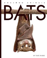 Cover image for Bats