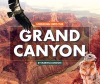 Cover image for Looking Into the Grand Canyon